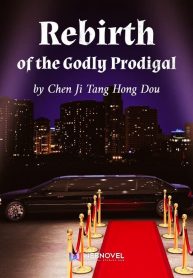 Rebirth-of-the-Godly-Prodigal-min