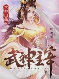 novel